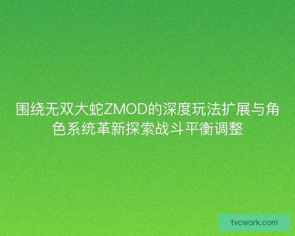 围绕无双大蛇ZMOD的深度玩法扩展与角色系统革新探索战斗平衡调整